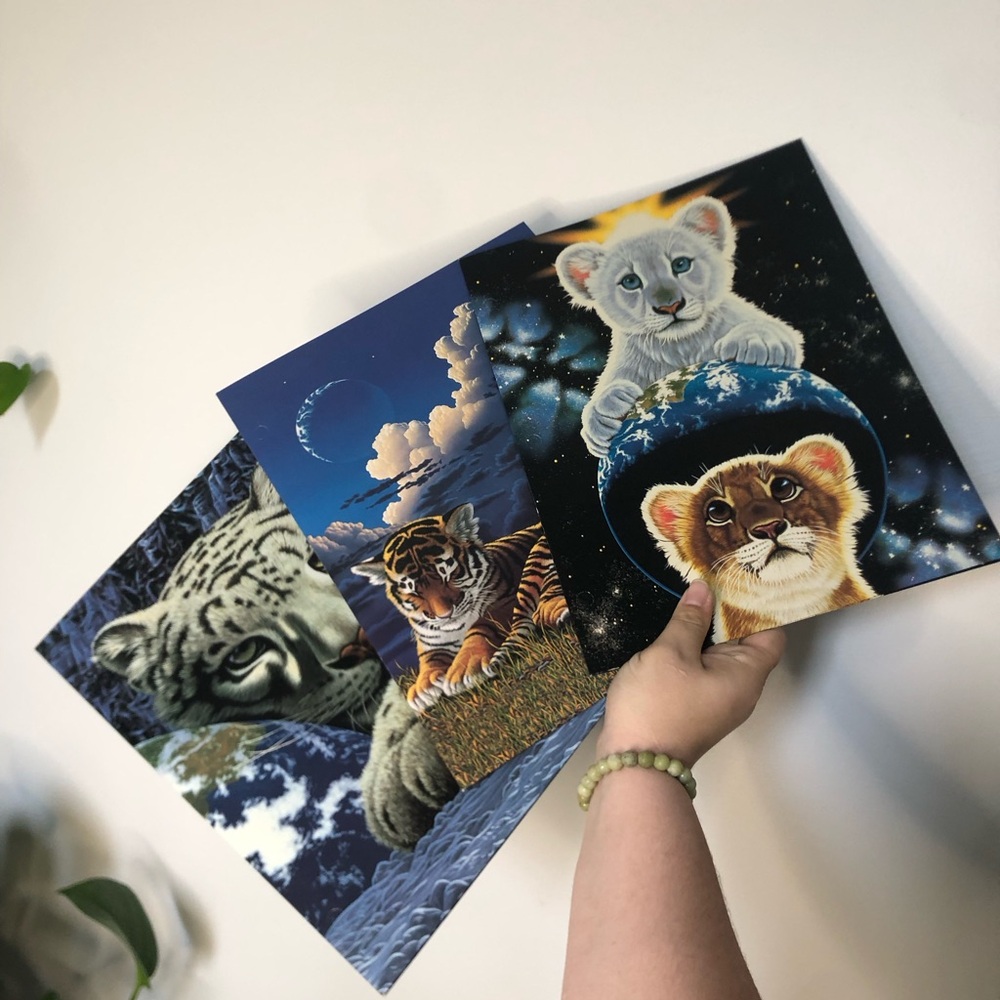 VTG Mead Schim Schimmel Folders Lot of 3 Unique Cosmic Tiger Lion Art UNPUNCHED